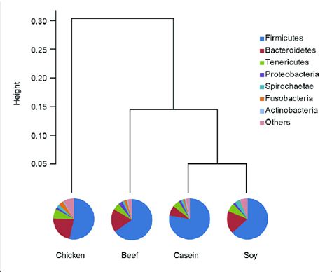 Relative Abundance Of Gut Microbiota At The Phylum Level Pie Chart Download Scientific