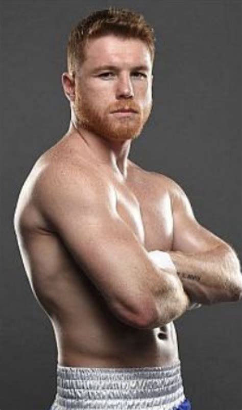 Saul Canelo Alvarez Mexico WBC World Middleweight Champion 2015 16