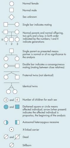 Pedigree Analysis Flashcards Quizlet