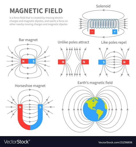 Bar Magnets And Electromagnets Venn Diagram Magnetism Electr