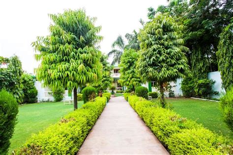 Ranthambhore Vatika Resortranthamborephotosreviewsdeals