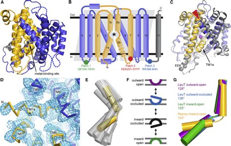 Crystal Structure And Conformational Change Mechanism Of A Bacterial