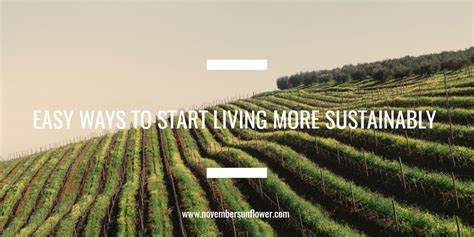 Easy Ways To Start Living More Sustainably