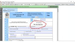Cuánto Se Paga Por La Tasa 790 Código 026 Para Obtener La Nacionalidad