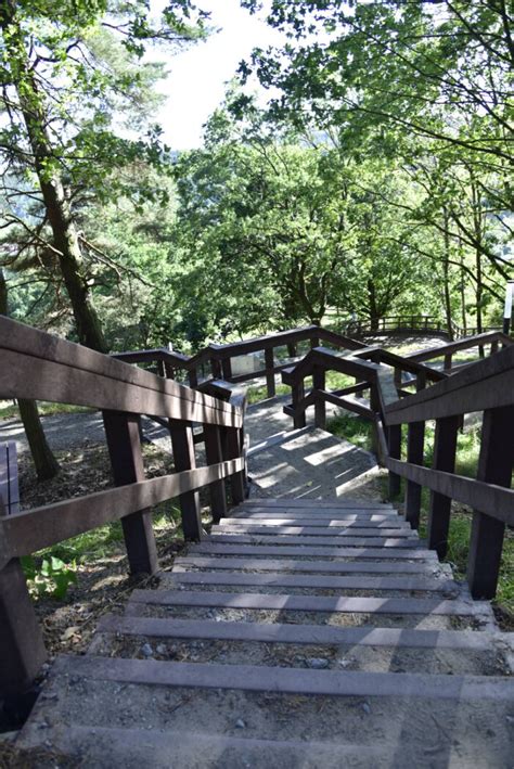 Góra Markowca Rumia wieża widokowa skansen park linowy odkryjPomorze pl