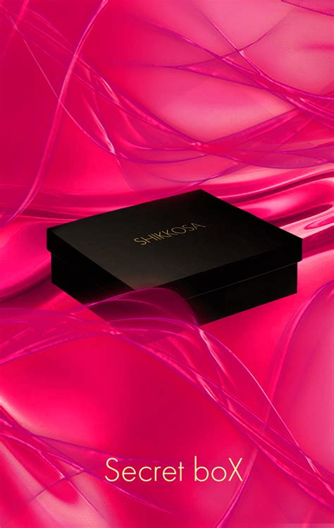 Secret box | SHIKKOSA