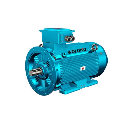 Ex Motor Explosion Proof Motor Flameproof Motor Wolong