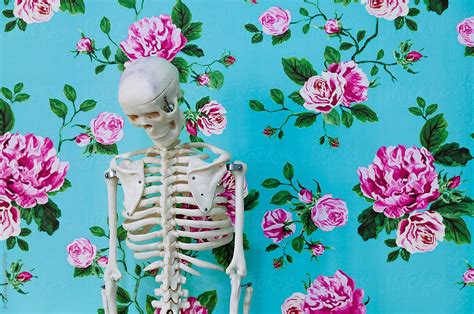 Skeleton By Stocksy Contributor Jira Saki Stocksy