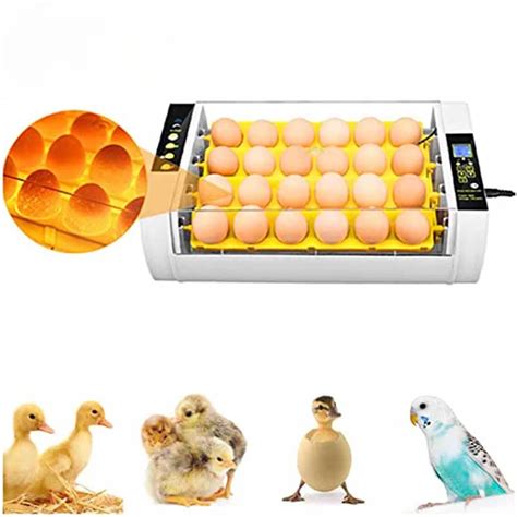 For HHD Fully Automatic Incubator Hatching 24 Eggs Brooder High