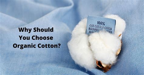 What Is Organic Cotton How Is It Better That Regular Cotton