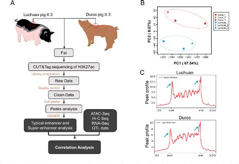 Figure From The Landscape Of Super Enhancer Regulates Remote Target