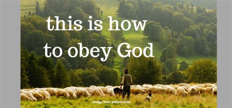 This Is How To Obey God Lara Love S Good News Daily Devotional