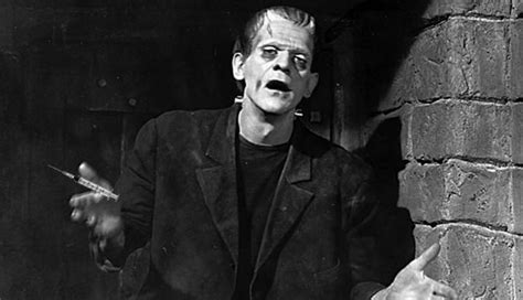 Cuál es el sentido de la vida de Frankenstein Un Ojo en el Cielo