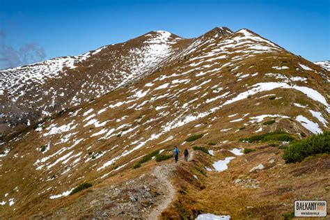 S Owackie Tatry Zachodnie Z Psem Trekking Na Baranec Ba Kany Wed Ug