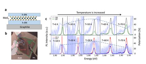 A Schematic Side View Of The Sample The Mos Monolayer Is