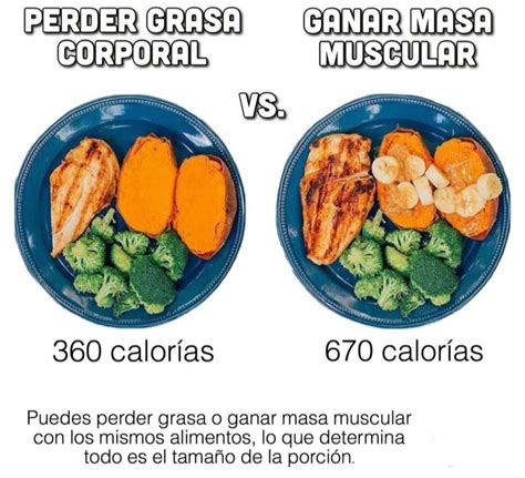 SUPERÁVIT CALÓRICO Todo lo que debes saber Salud Diez