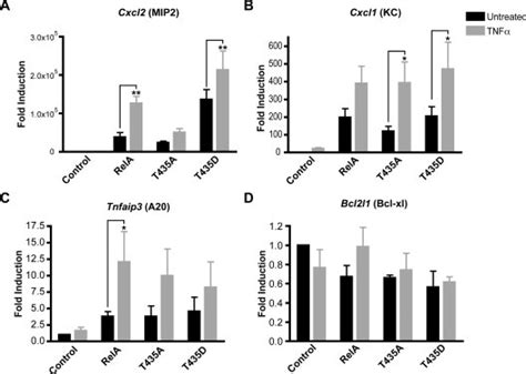 Ac Tnf Stimulation Differentially Increases Mrna Levels Of Cxcl