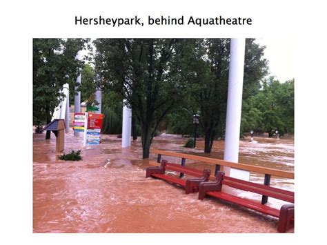 Extraordinary Stories From An Ordinary Guy The 2011 Flooding Horror