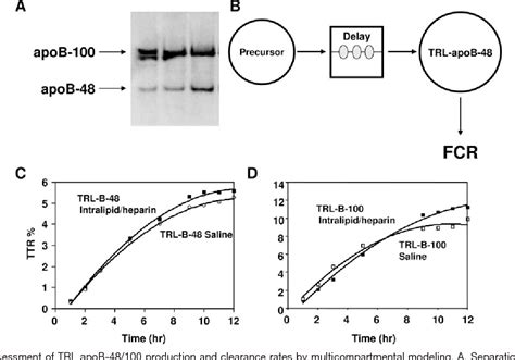 Table 1 From Both Intestinal And Hepatic Lipoprotein Production Are