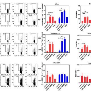 Treatment With Mtor Inhibitors Does Not Impair T Cell Activation In The