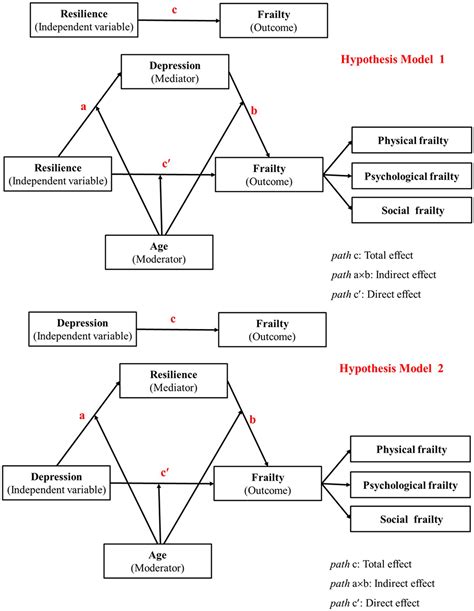 Frontiers A Moderated Mediation Analysis Of Depression And Age On The Relationship Between