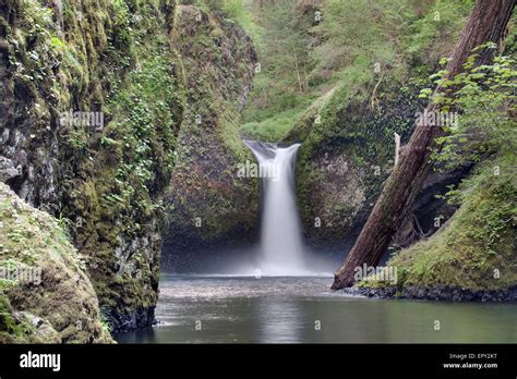 Punch Bowl Falls At Eagle Creek Trails In Columbia River Gorge National