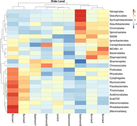 Heatmap Of The 25 Most Abundant Bacterial Orders In All Samples Based