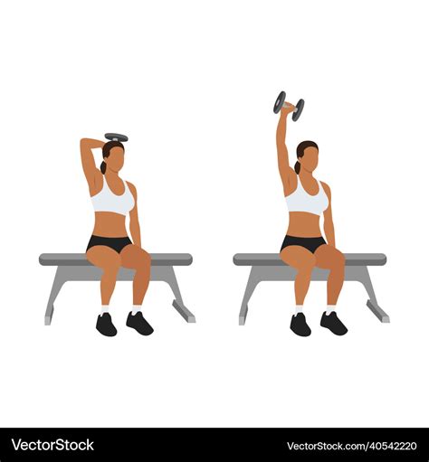 Single Arm Overhead Dumbbell Tricep Extensions Vector Image