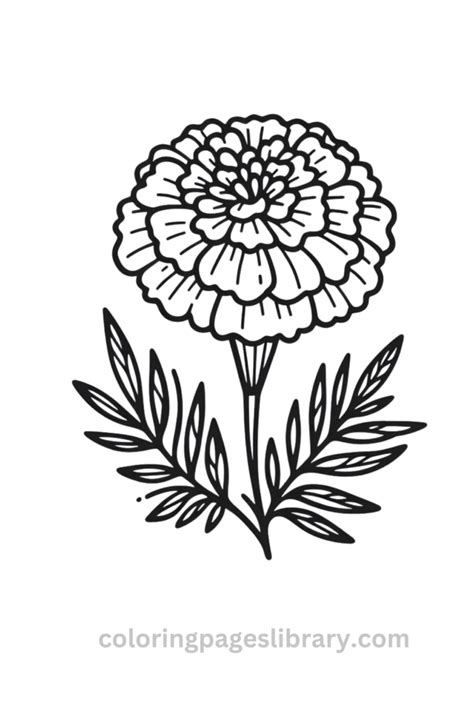Free Printable Marigold Coloring Pages For Kids