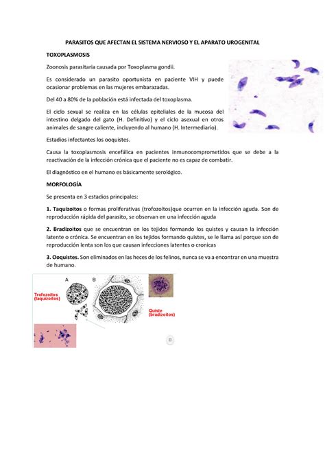 TEMA 4 Parasitos QUE Afectan EL Sistema Nervioso Y EL Aparato