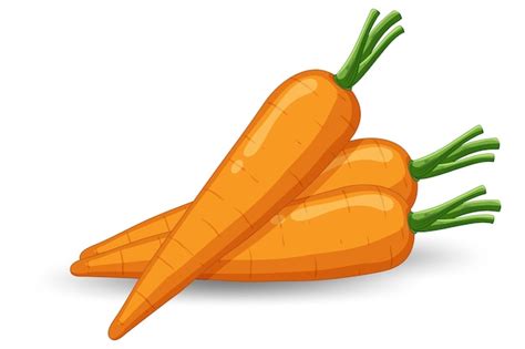 Carrot Clip Art Library