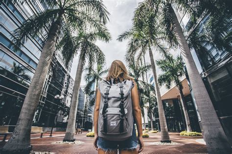 underrated florida tourist attractions drivin vibin