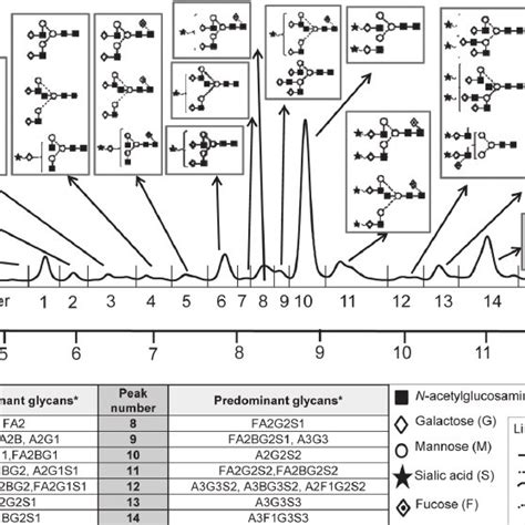 Typical Hilic Hplc Profile Of The Serum N Glycome From An Ra Patient In