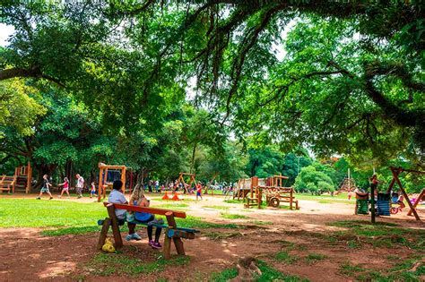 Passeio No Parque Ibirapuera Domicio Fotografias