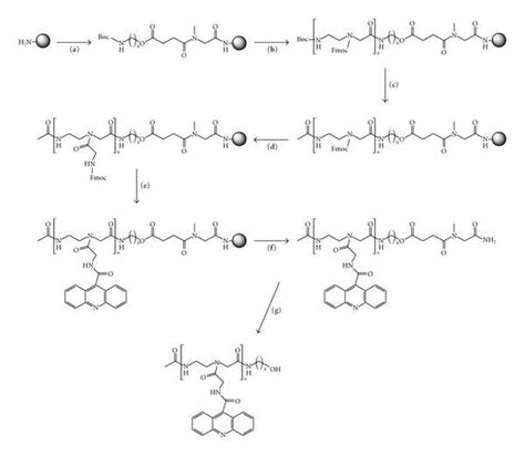 Solid Phase Synthesis Of Dimer And Trimer Acridine Derivatives A I