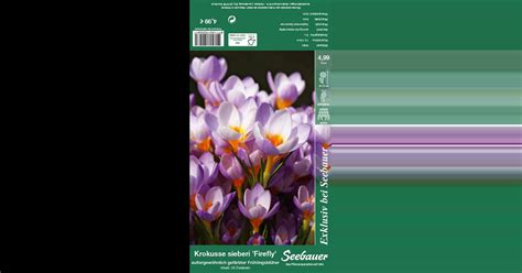 Botanischer Krokus Firefly Crocus Sieberi Firefly Lila Wei Seebauer