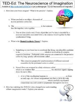 Ted Ed Worksheet The Neuroscience Of Imagination By Danis Marandis