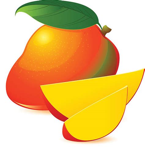 Best Fresh Taste Of Mangos Illustrations Royalty Free Vector Graphics