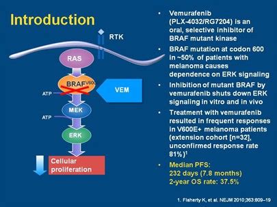 BRAF Inhibitors – NZMU