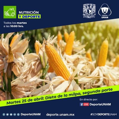 Deporte UNAM on Twitter No te pierdas la emisión Nutrición y