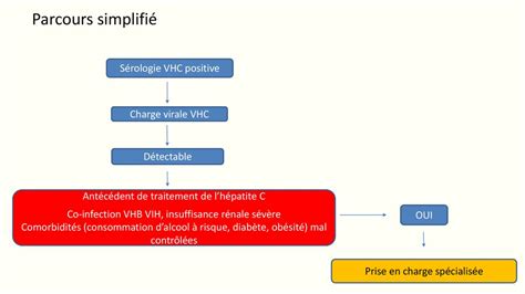 Recommandations Pour L Limination De Linfection Par Le Vhc En France