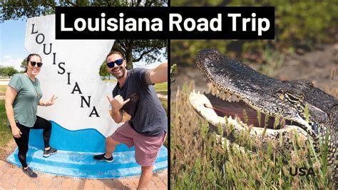 An Epic Louisiana Road Trip Alligators Crawfish And Swamp Tours In