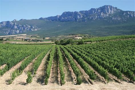 La Rioja | region, Spain | Britannica