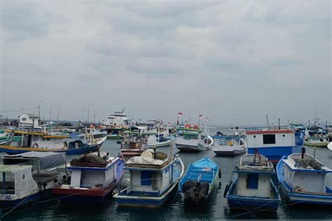 Bmkg Imbau Nelayan Waspadai Potensi Gelombang Meter Di Laut Sawu