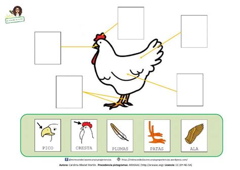 Playing Cards Plant Parts Interactive Notebooks Hens Playing Card