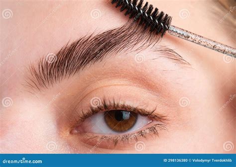 Woman Eye With Beautiful Eyebrows Perfect Shaped Brow Eyelashes With Brow Gel Brush Stock