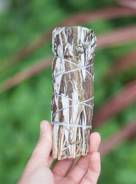 Mugwort Bundle Large Sage And Incense Village Rock Shop