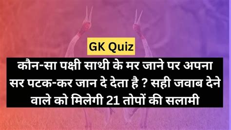 Gk Quiz कौन सा पक्षी साथी के मर जाने पर अपना सर पटक कर जान दे देता है सही जवाब देने वाले को