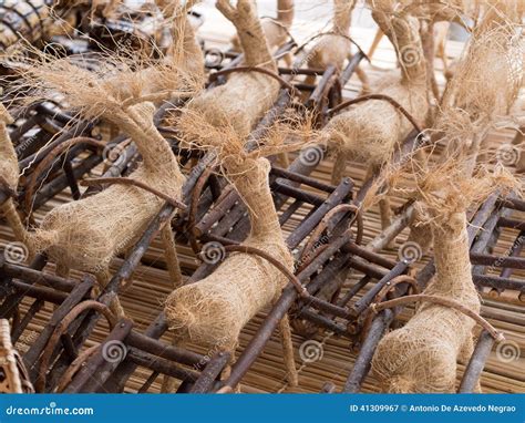 Reindeer Straw Stock Image Image Of Straw Market Open 41309967