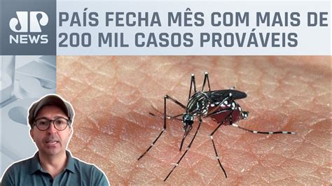 Df E Mg Lideram Explos O Dos Casos De Dengue No Brasil Coordenador De